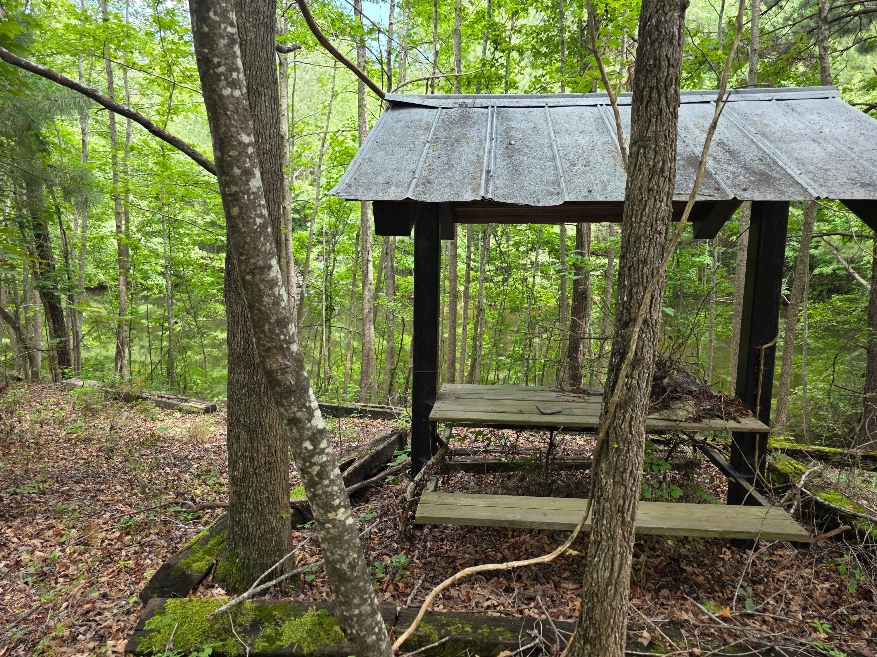 Undeveloped at 2031 Mcdade Road, Hephzibah, GA 30815, photo 5 of 16
