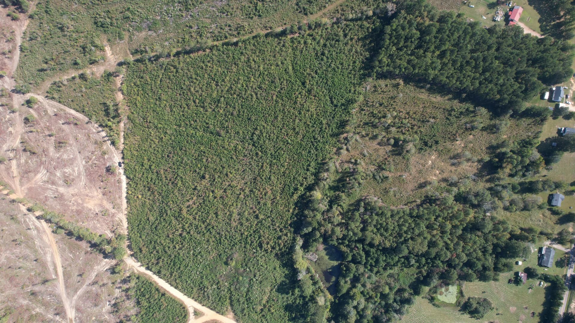 Agriculture at 00 Moores Drive, Edgefield, SC 29824, photo 12 of 14