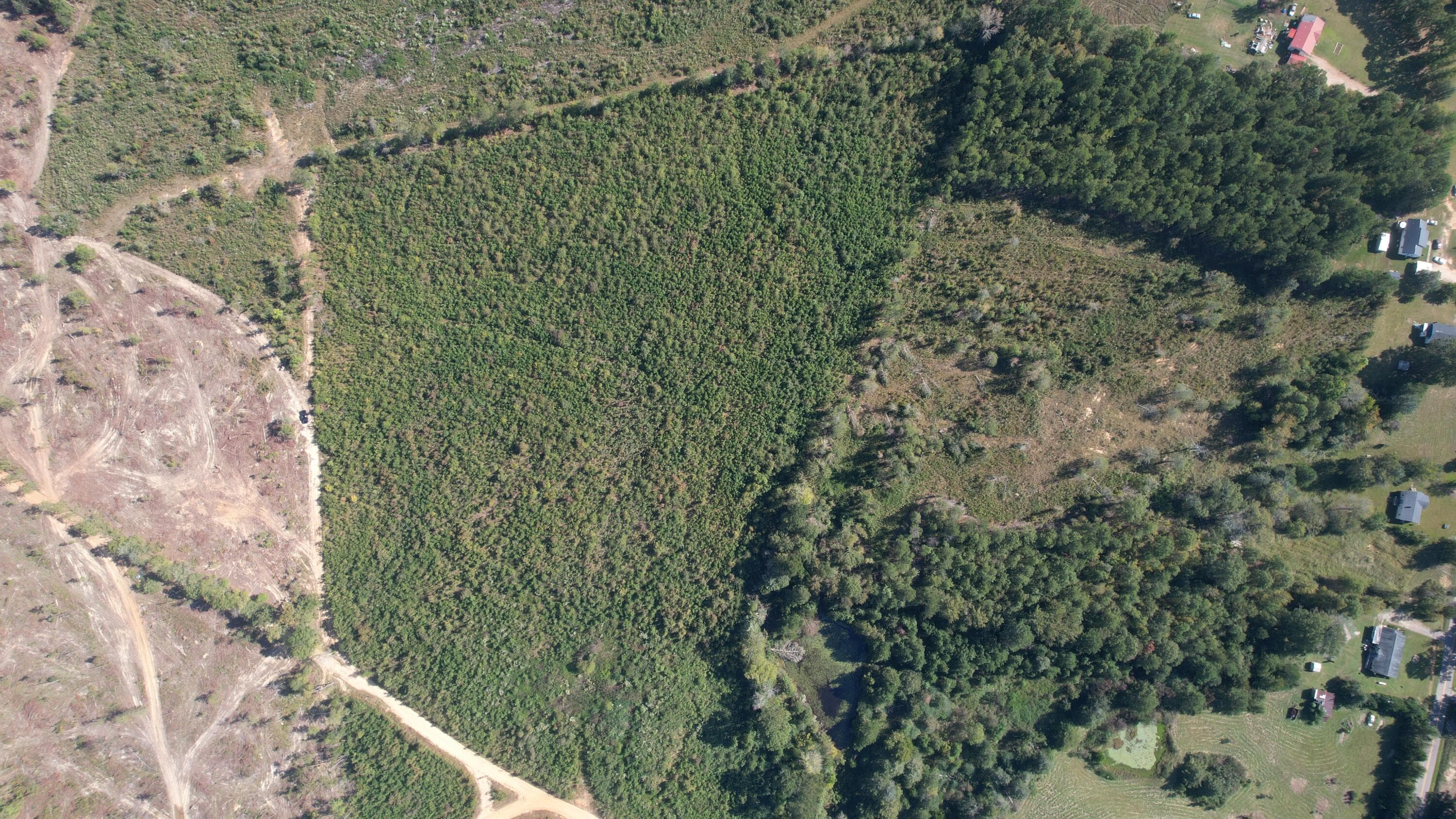 Agriculture at 00 Moores Drive, Edgefield, SC 29824, photo 12 of 14