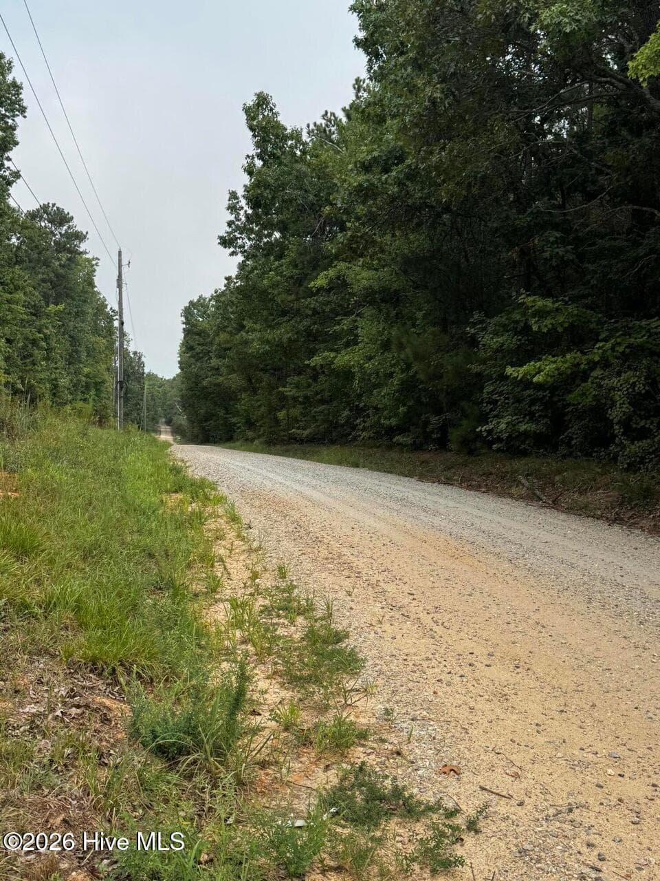 Undeveloped at 00 Gabe Rd, Saluda, SC 29138, photo 3 of 6