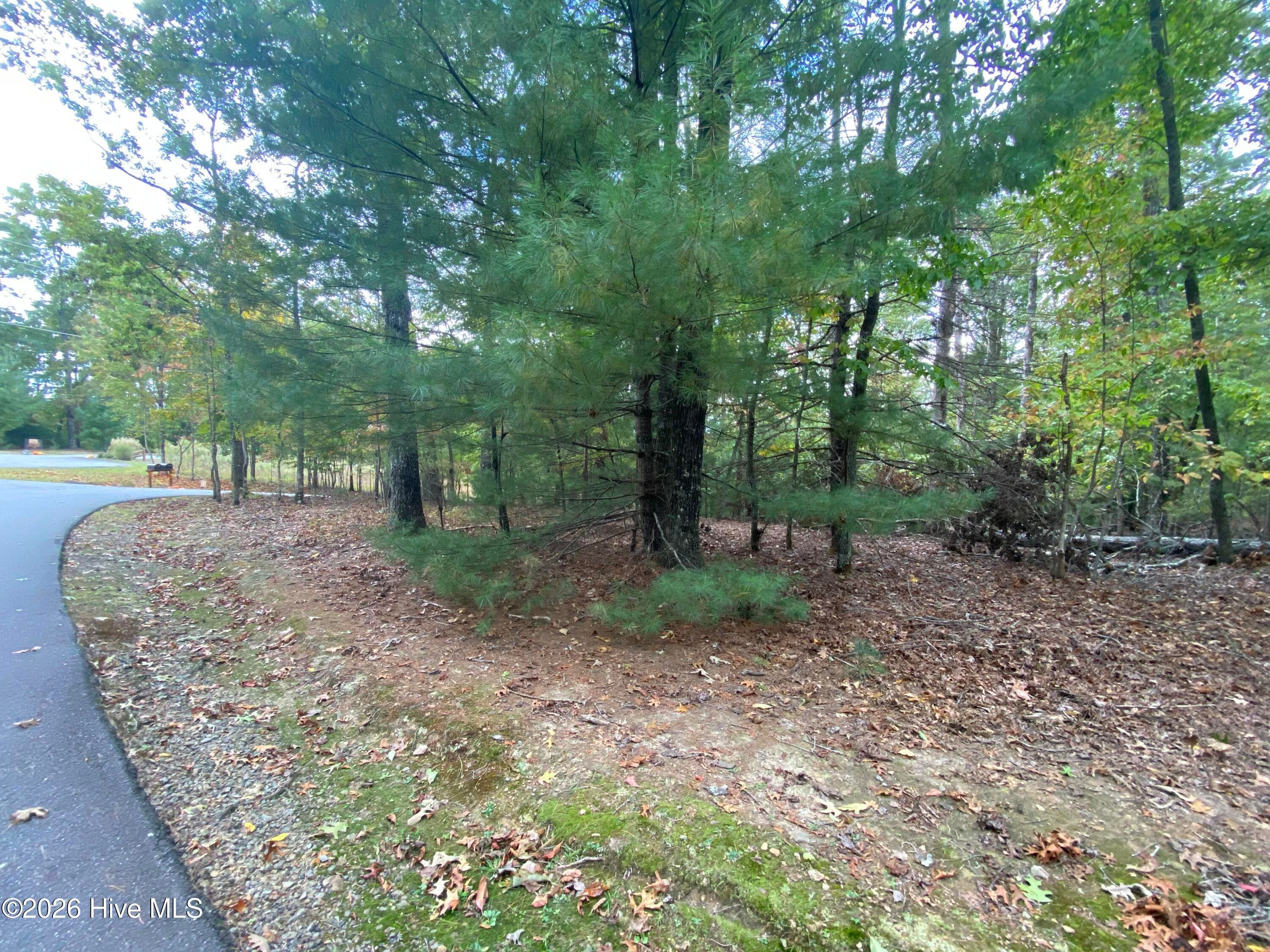 Wooded at 14 14 Mission Ridge, Hayesville, NC 28904, Hayesville, photo 11 of 14