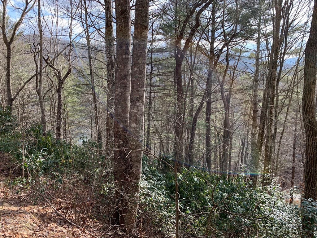 Residential Lot at Lot# 10 10 Forest Vista Lane, Topton, NC 28781, photo 4 of 4