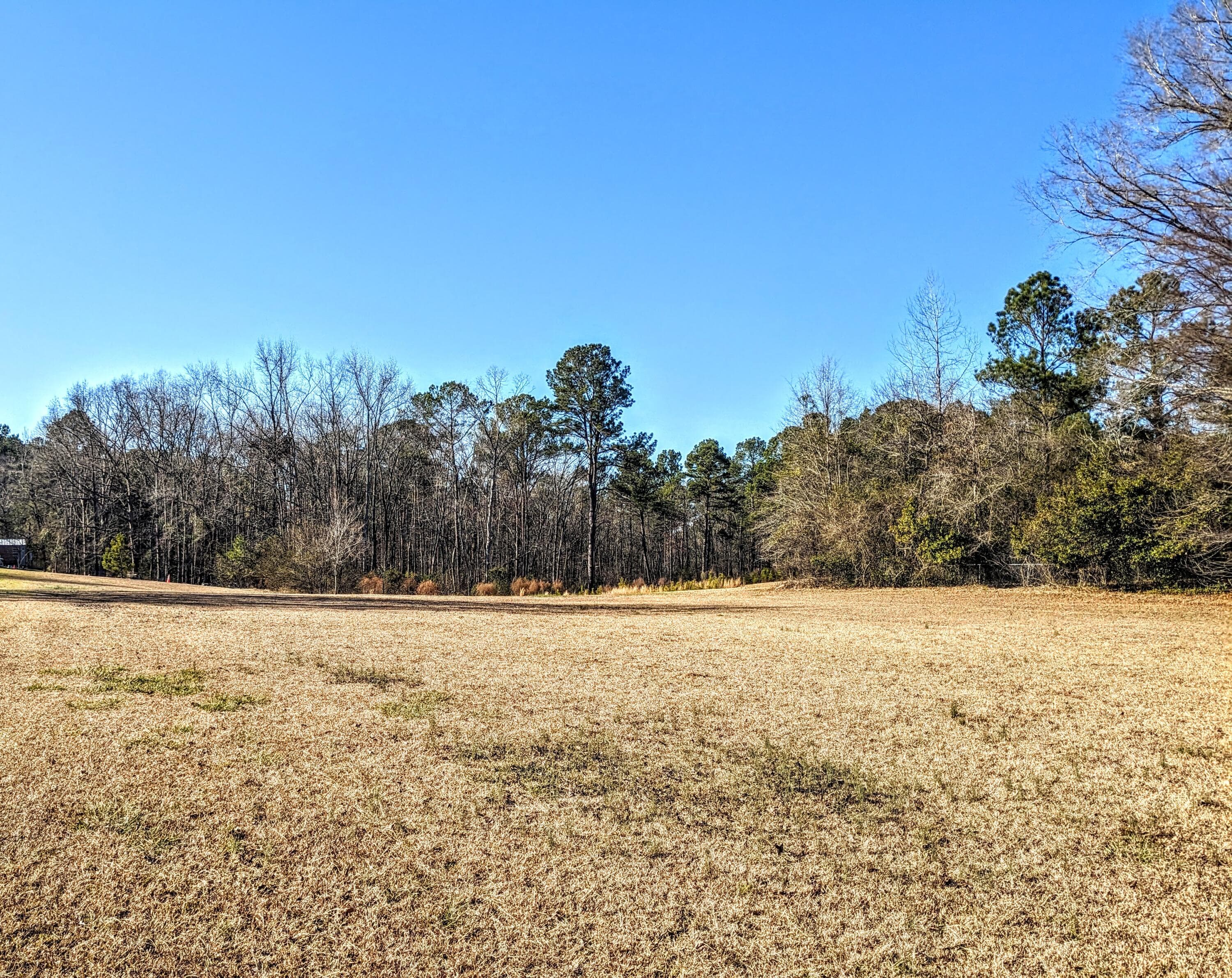 Undeveloped at 484 Dickson Drive, Evans, GA 30809, photo 2 of 4