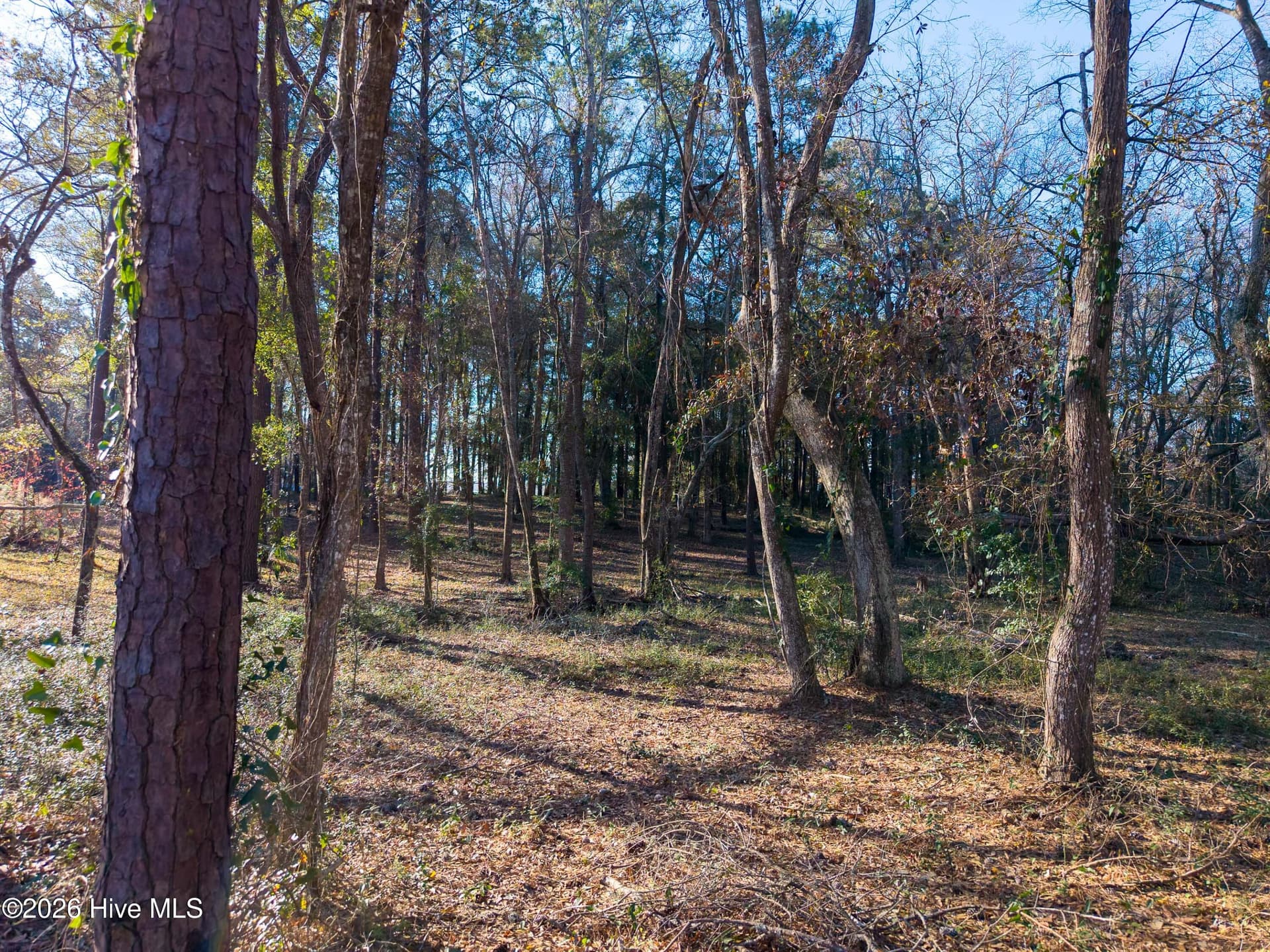 Residential Lot at 9017 64 Ocean Harbour Golf Club Drive SW, Calabash, NC 28467, photo 10 of 14