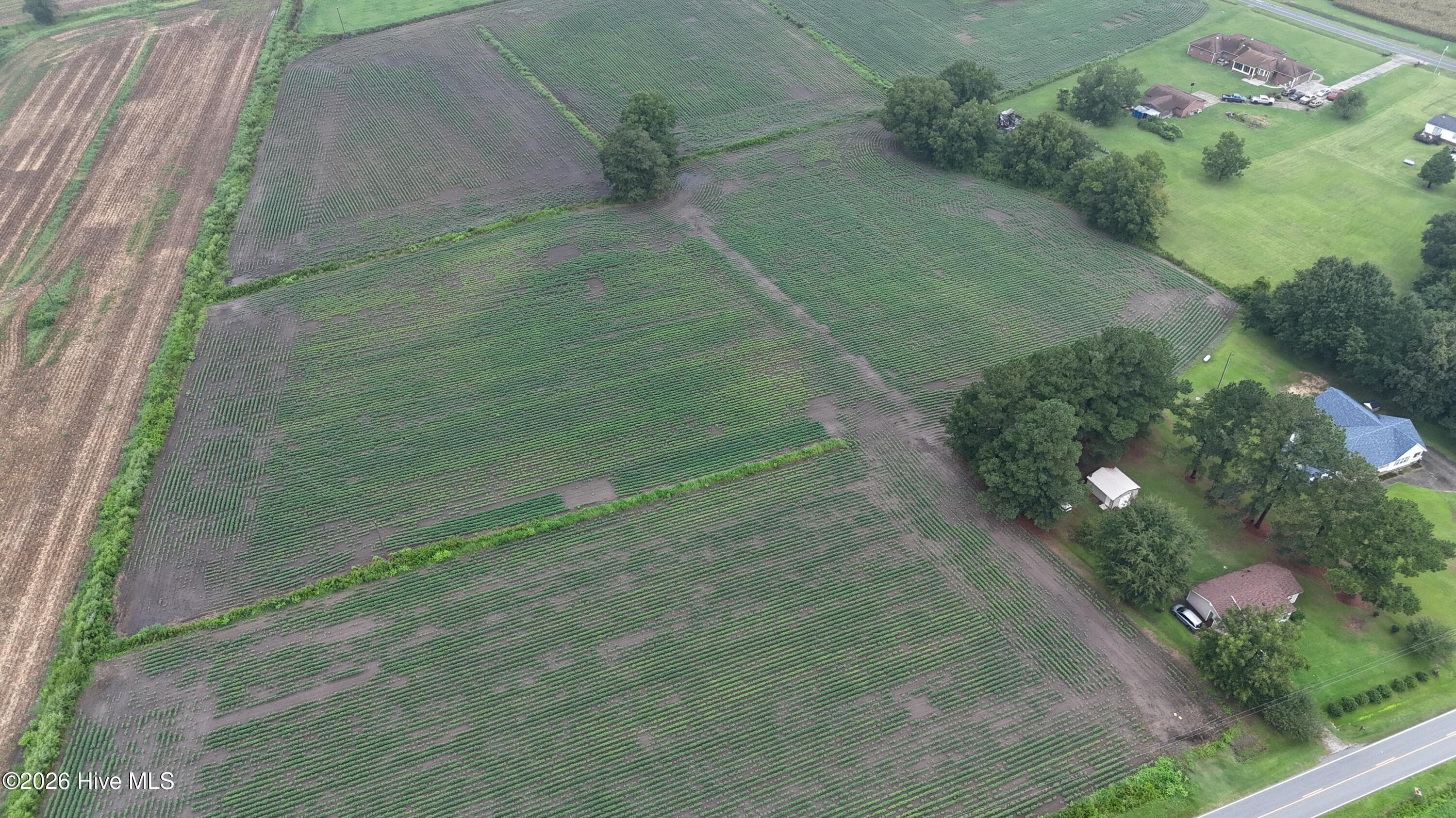 Agriculture at Near 128 Bay Rd., Rose Hill, NC 28458, photo 19 of 21