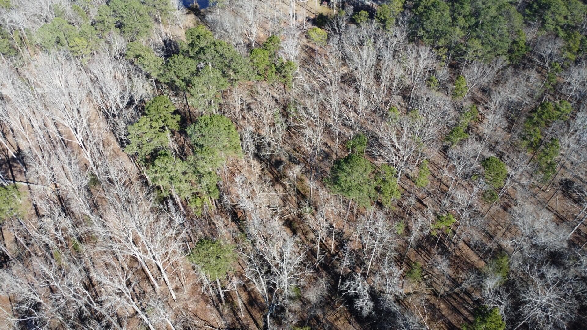 Mixed Use at 0 Forest Lake Drive, Lincolnton, GA 30817, photo 7 of 12