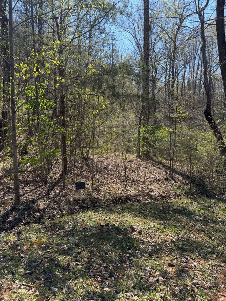 Residential Lot at Lot 16-N High Meadows Drive, Hayesville, NC 28904