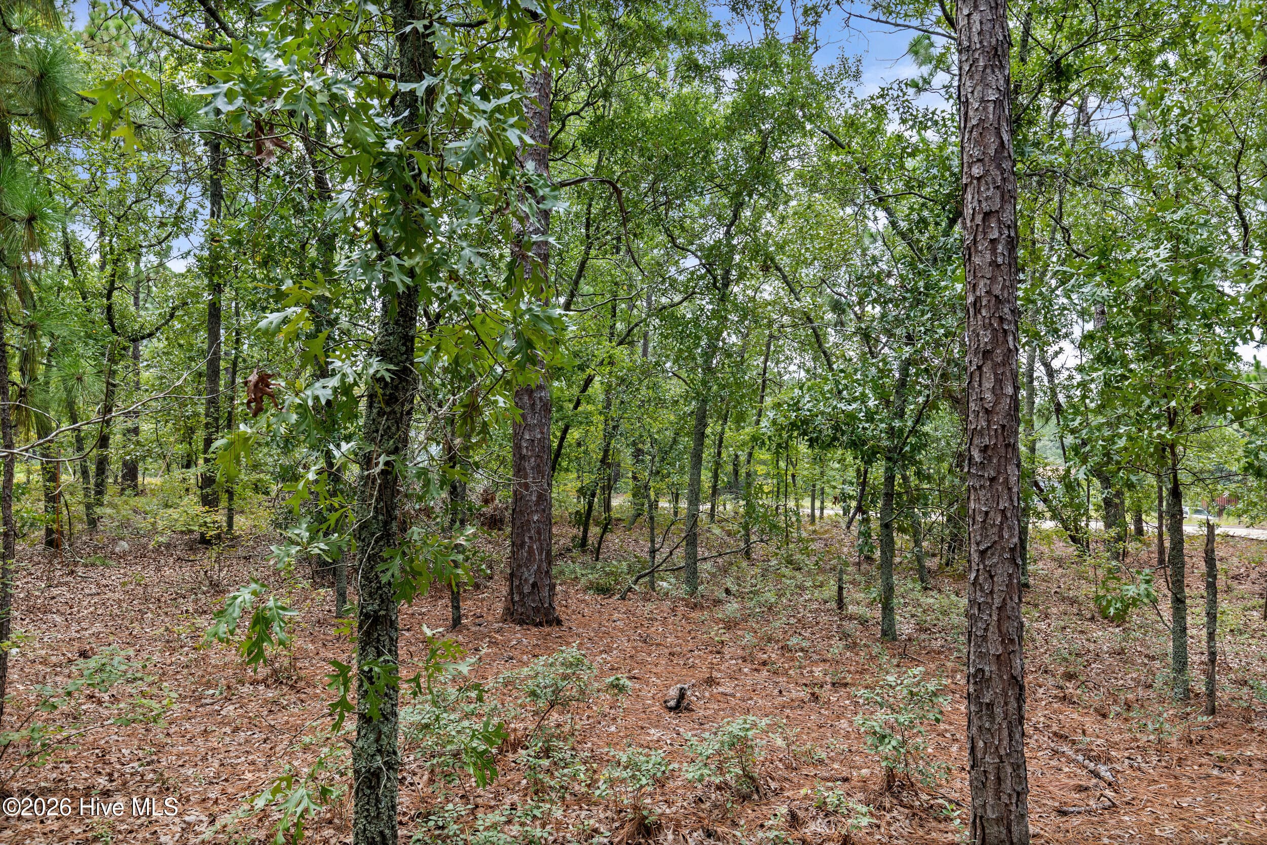 Wooded at 2467 Patiller Road, Hephzibah, GA 30815, photo 16 of 16