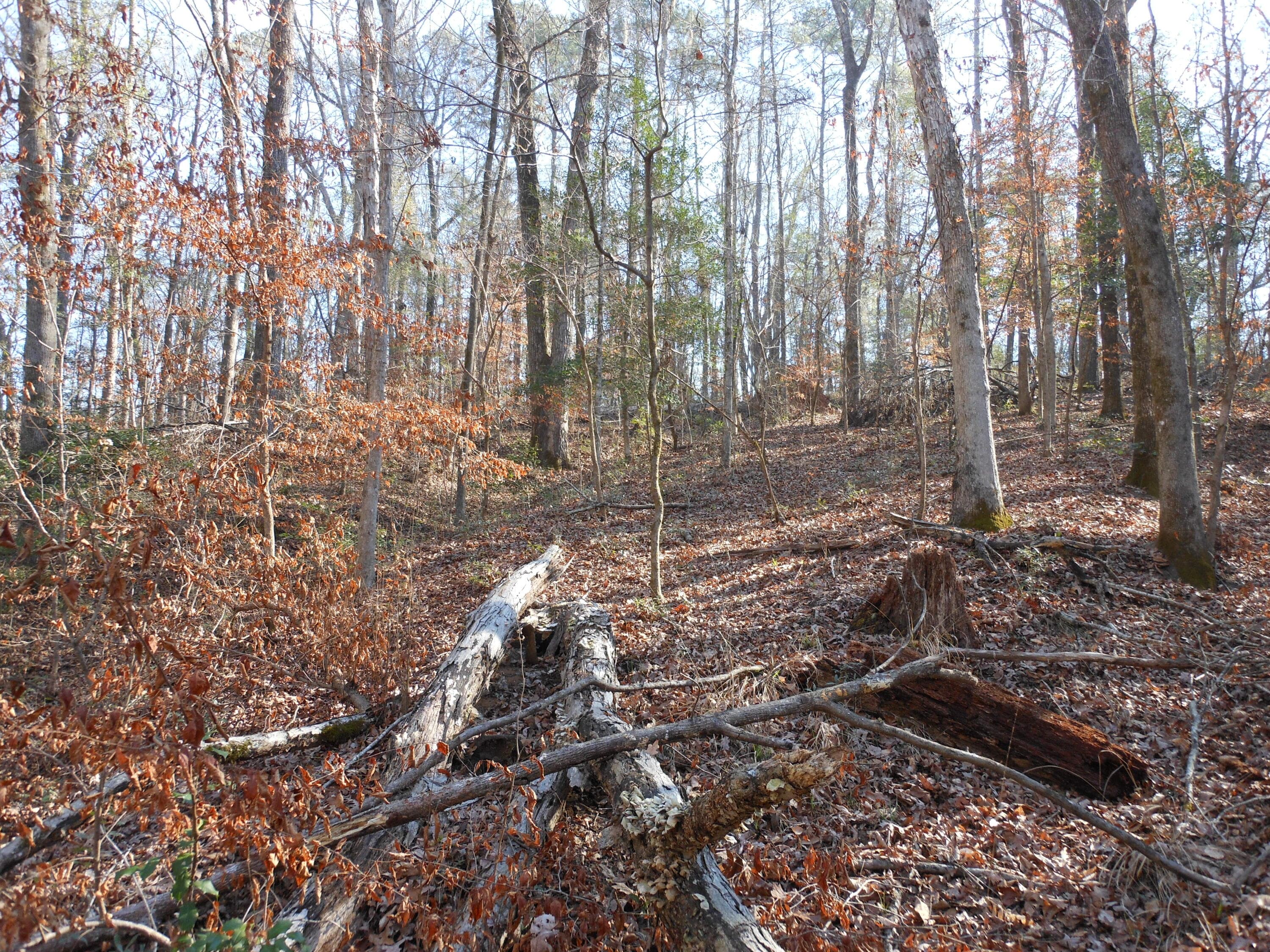 Undeveloped at 0 Ponderosa Road, Waynesboro, GA 30830, photo 41 of 45