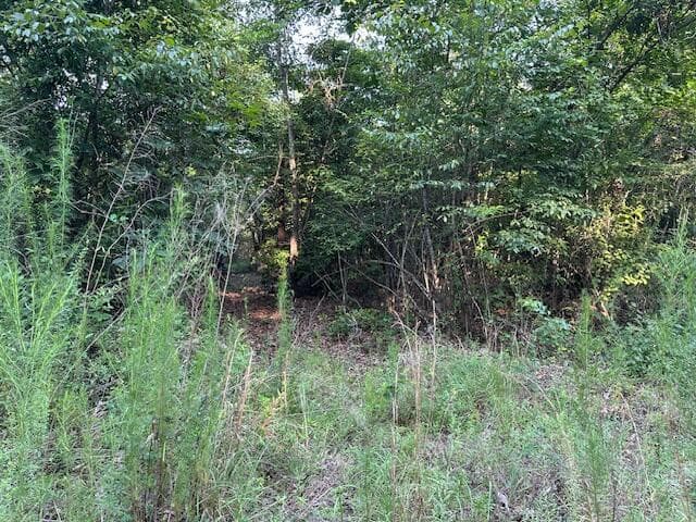Undeveloped at 2576 Jessie James Pond Road, Wrens, GA 30833, photo 34 of 56