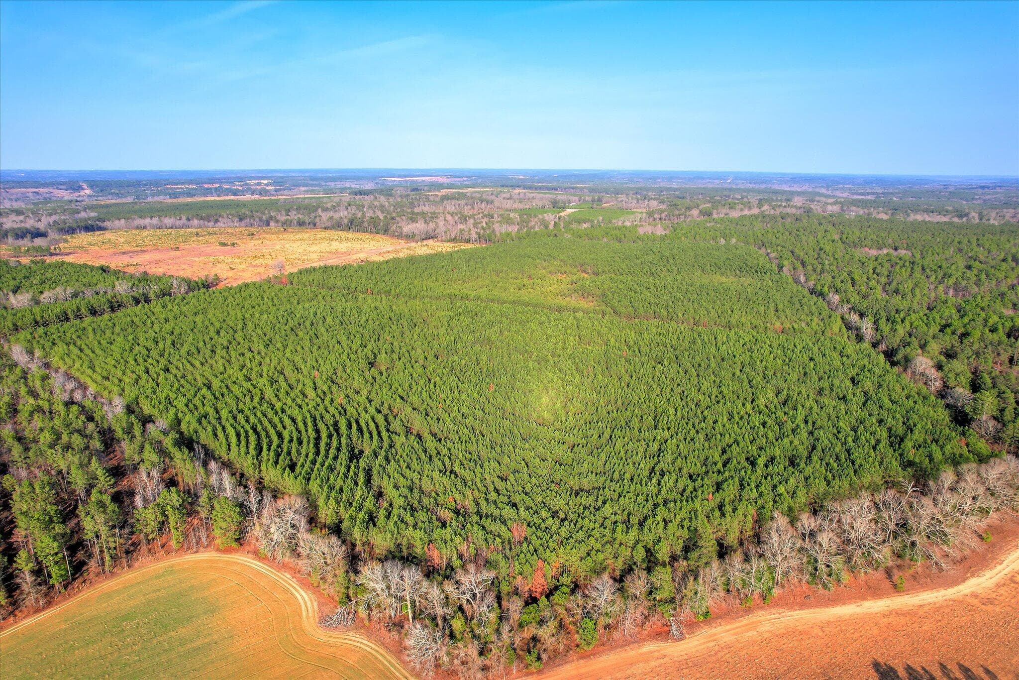 Mixed Use at 0 Old Thomson Road, Wrens, GA 30833, photo 13 of 17
