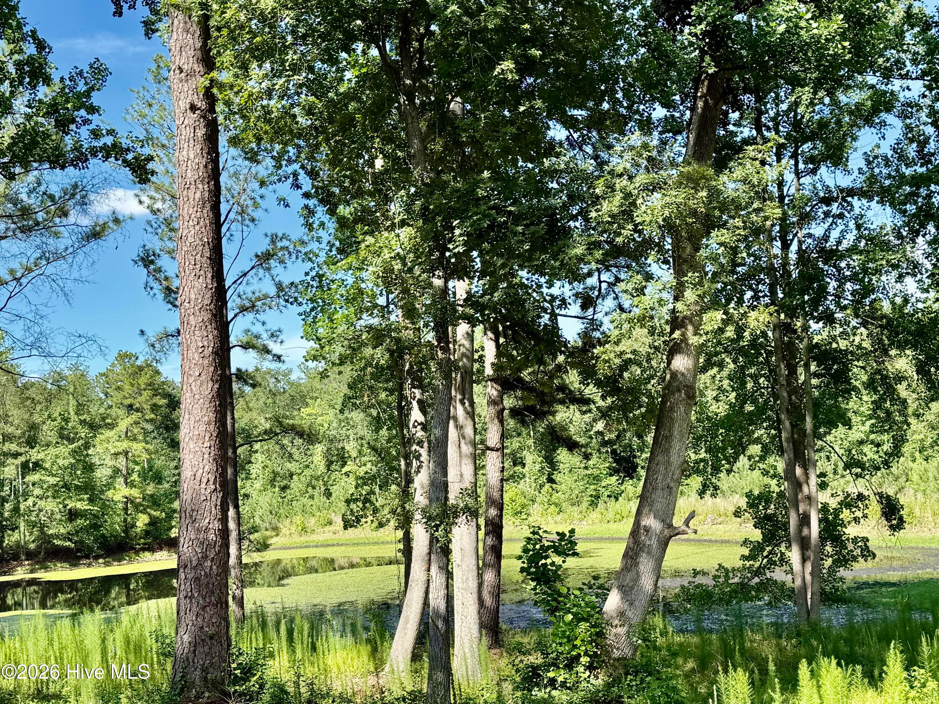 Undeveloped at Tbd Roberdel School Road, Rockingham, NC 28379, photo 13 of 41