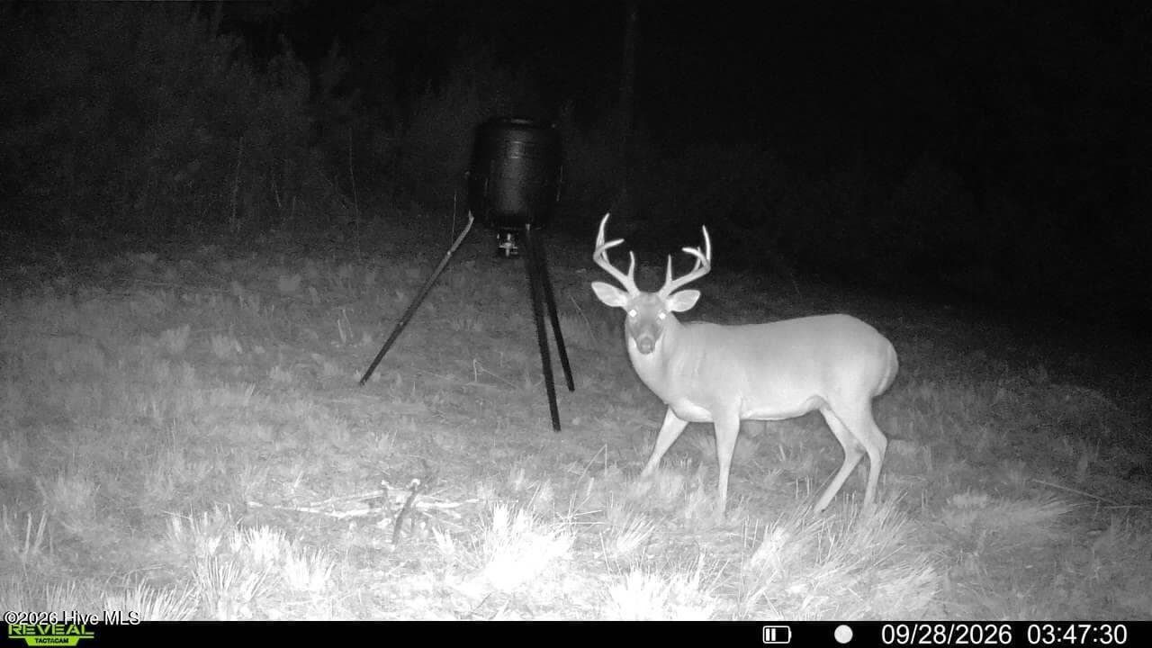 Undeveloped at 0 Pughsley Road, Stapleton, GA 30823, photo 12 of 13