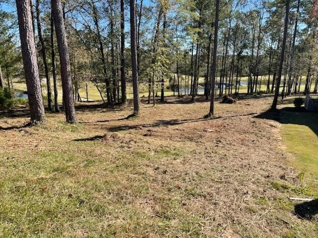 Residential Lot at Lot M-46 Mary Johnson's Court, North Augusta, SC 29860