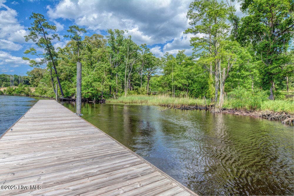 1/2 mile river walk - 3623 White Cliffs Drive, Castle Hayne, NC 28429