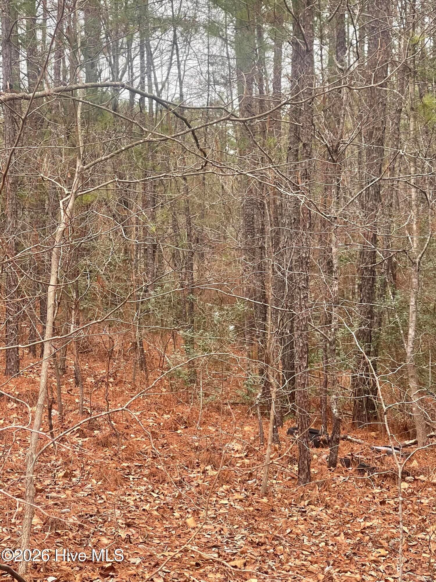 Wooded at Lot 6 & 7 Bumpy Lane, Sanford, NC 27332, photo 7 of 7