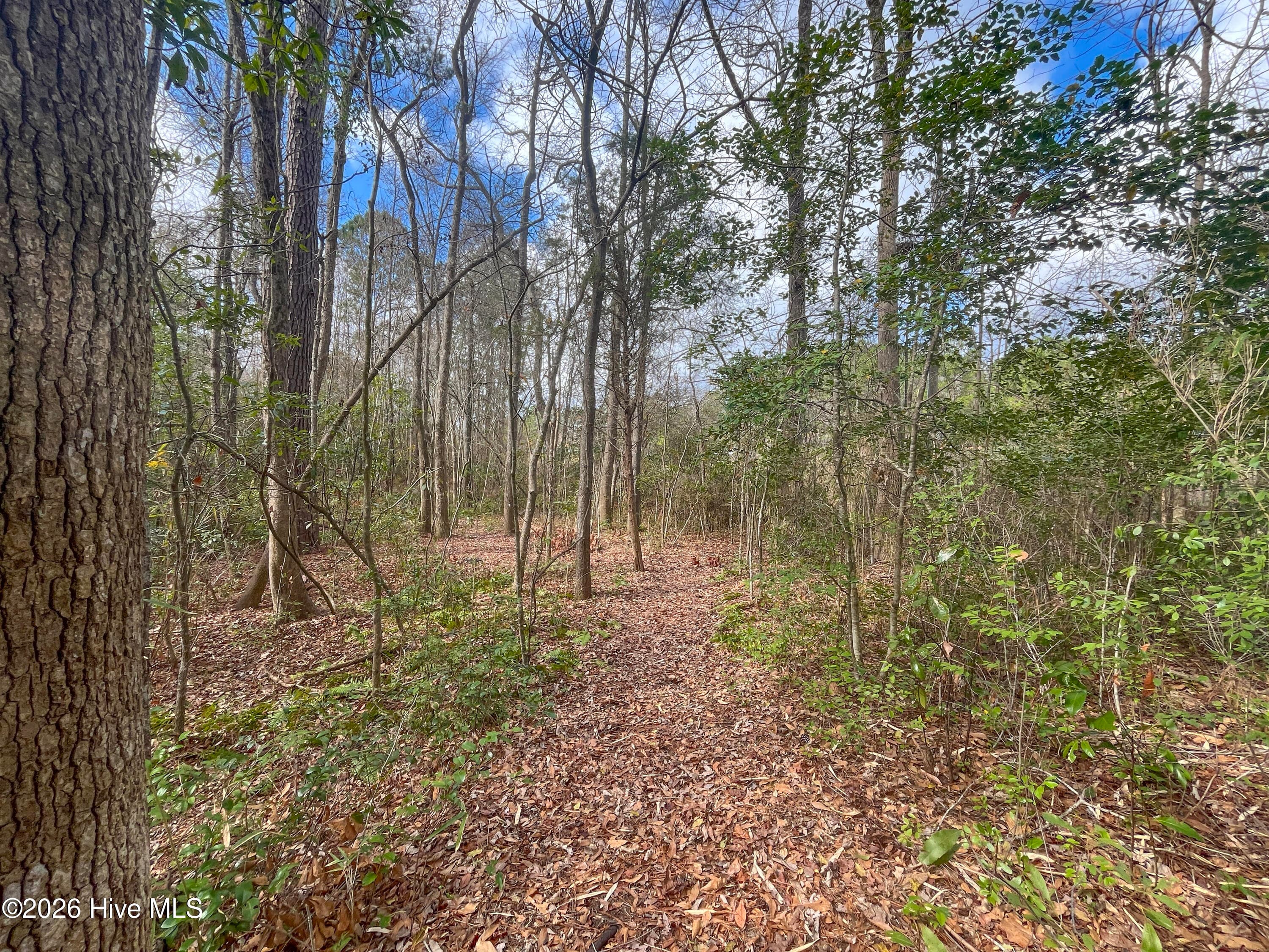Commercial Sale at 21944 Us 17, Hampstead, NC 28443, photo 30 of 50