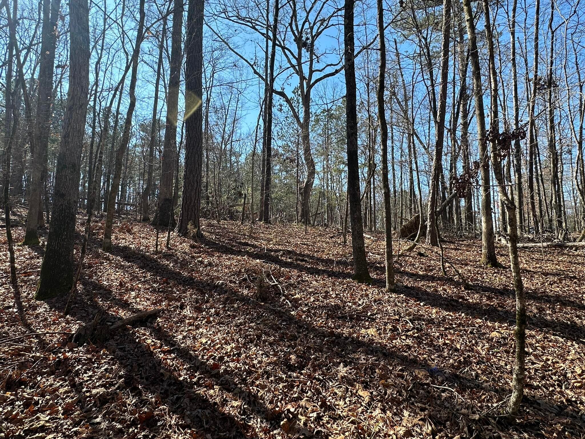 Residential Lot at 117 B35 L9 Cumberland Drive, McCormick, SC 29835, photo 10 of 14