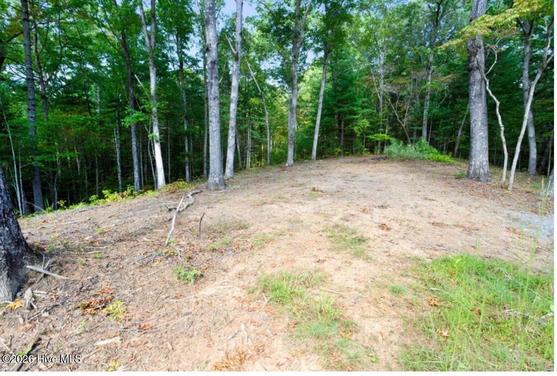 Residential Lot at Tbd Nature Valley Trail, Murphy, NC 28906, photo 3 of 19