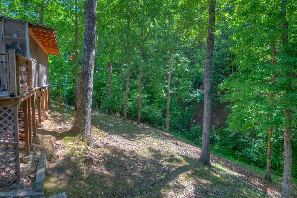 Single Family Residence at 256 Woods Drive, Murphy, NC 28906, photo 27 of 29