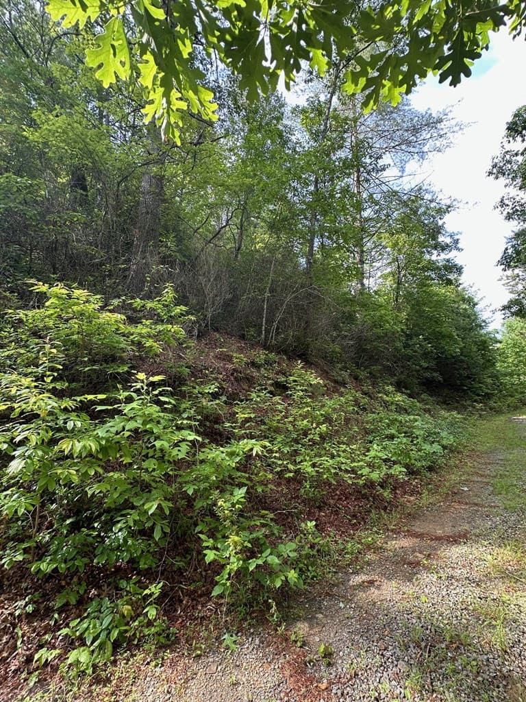 Residential Lot at Lot 62 & 62&A Creek Lot A, Stone Ridge Falls, Murphy, NC 28906, photo 10 of 16