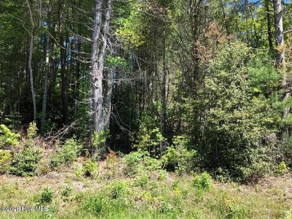 Residential Lot at Lot 7 7 Santeetlah Ridge, Robbinsville, NC 28771, photo 8 of 10