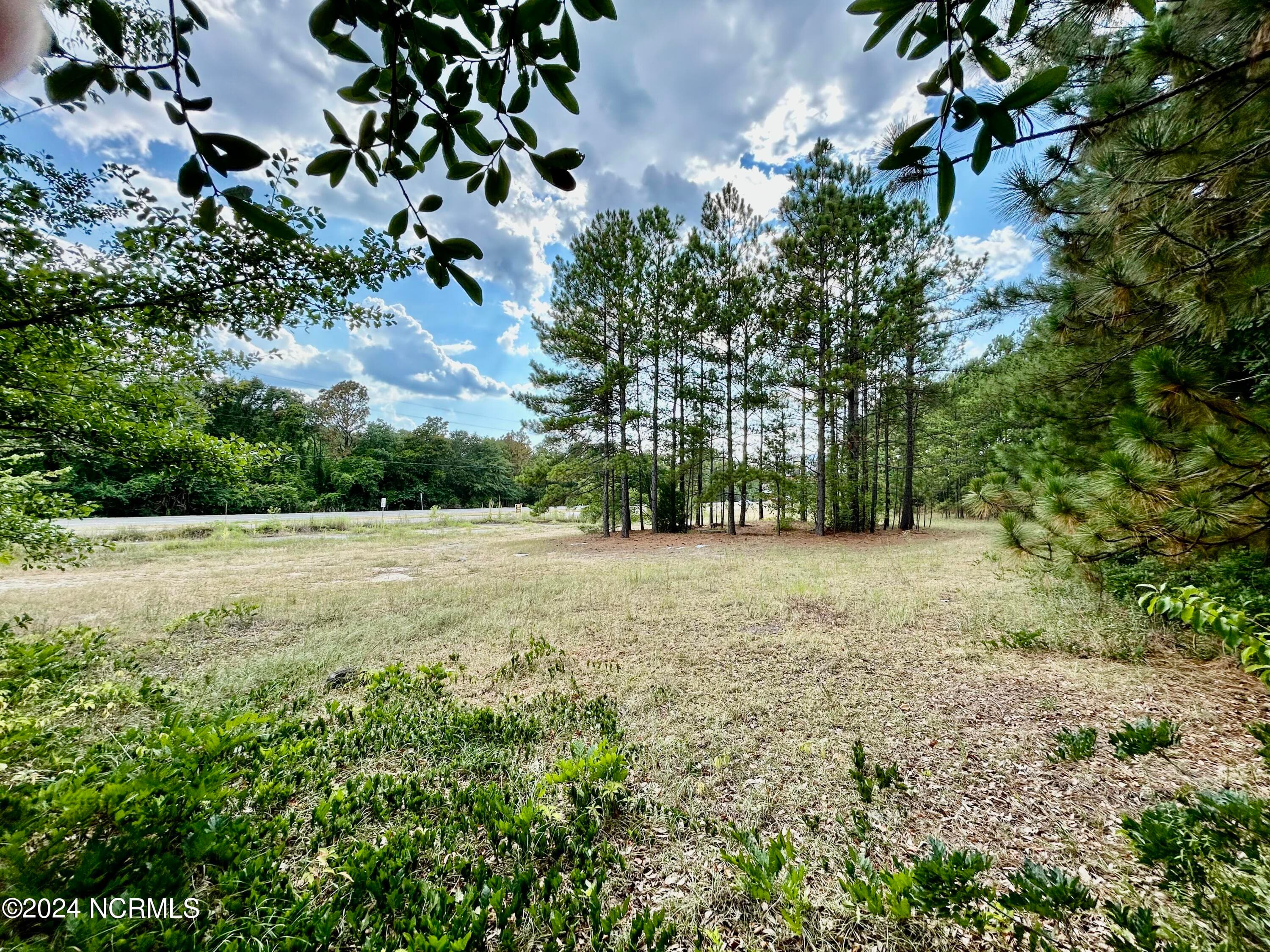 Commercial Sale at Tbd Hwy 74 Highway, Hamlet, NC 28345, photo 7 of 14