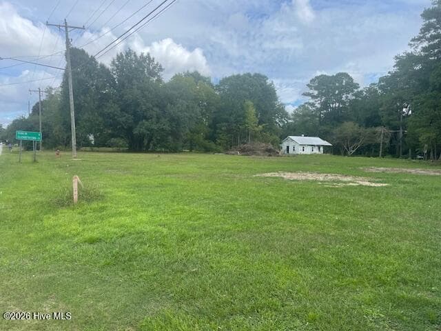 Commercial Sale at 325 N Main Street, Bladenboro, NC 28320, photo 5 of 6