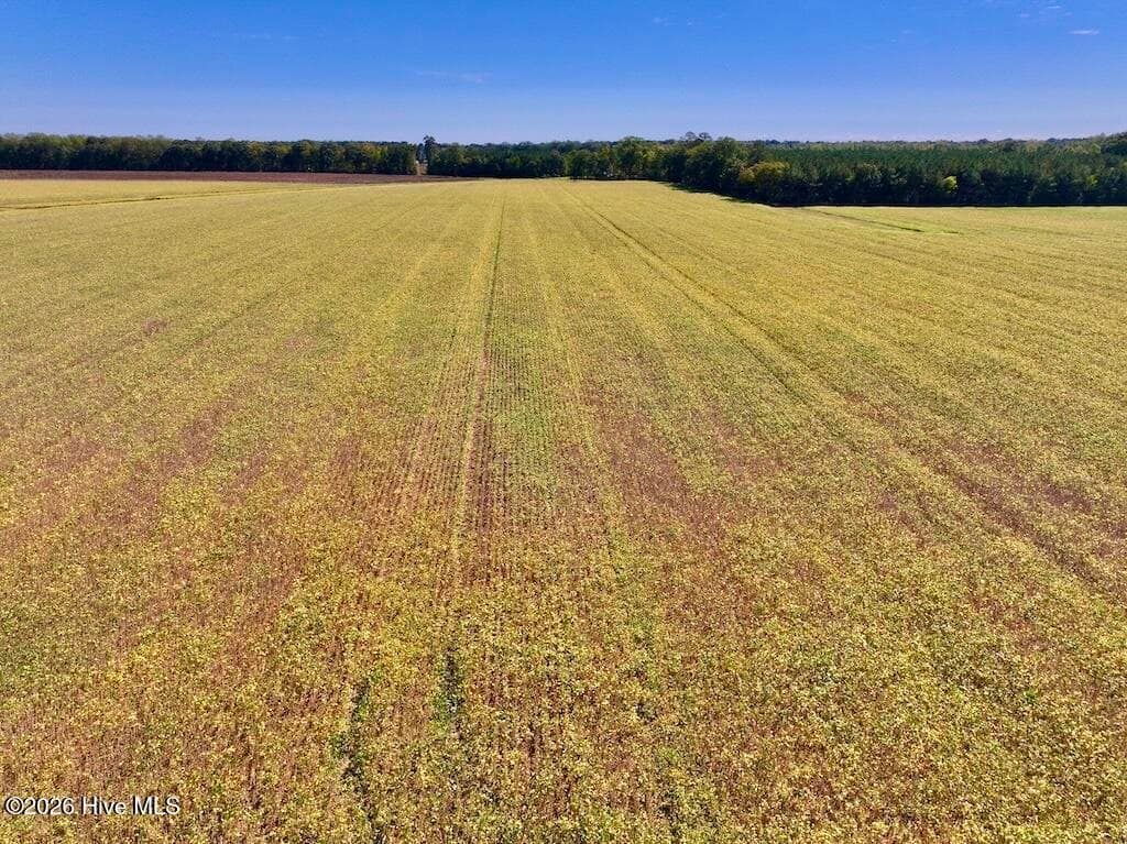 Mixed Use at 0 Spring Hill Road, Scotland Neck, NC 27874, photo 66 of 93