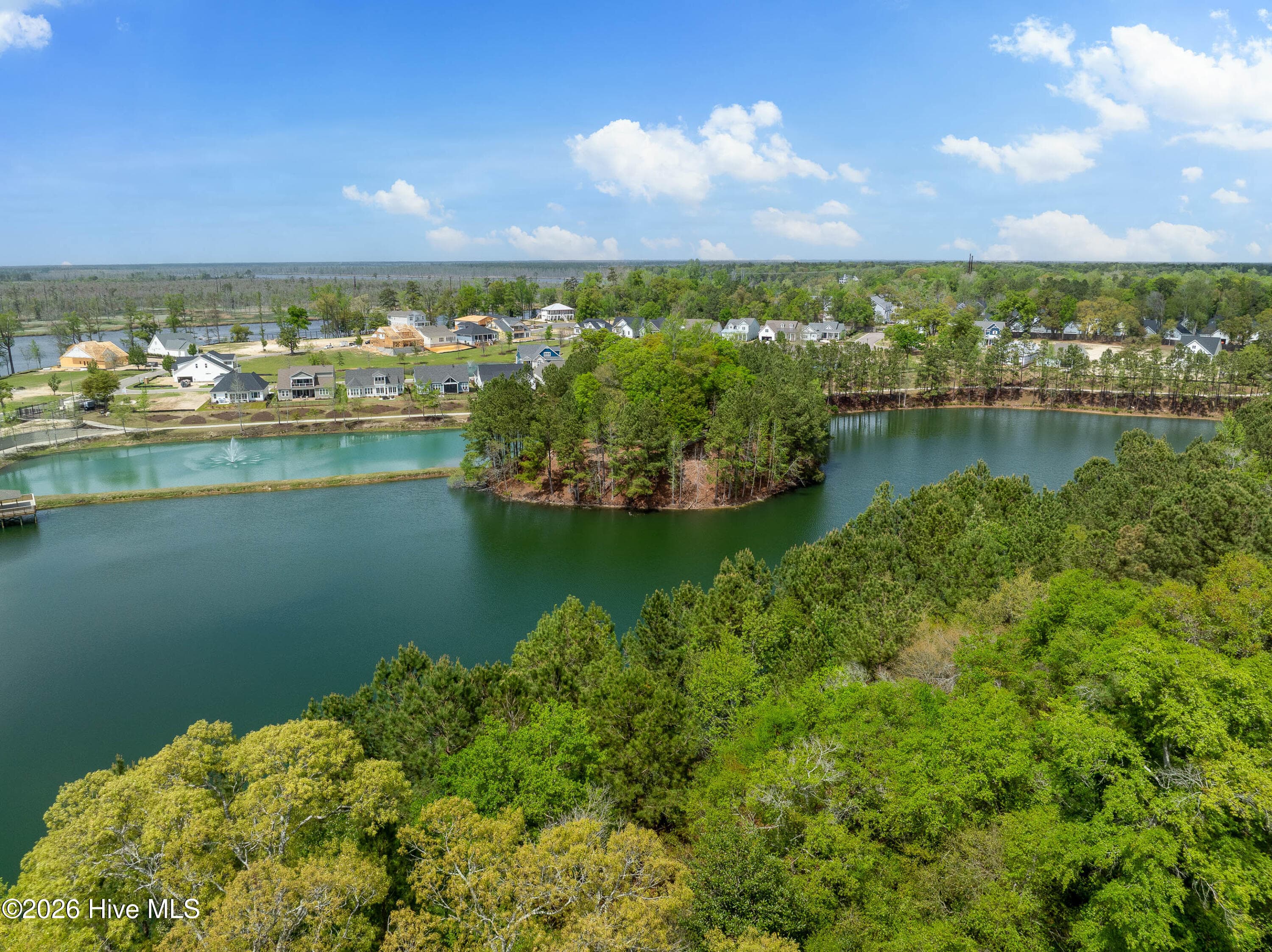 Lake area - 1232 Rockhill Road, Castle Hayne, NC 28429