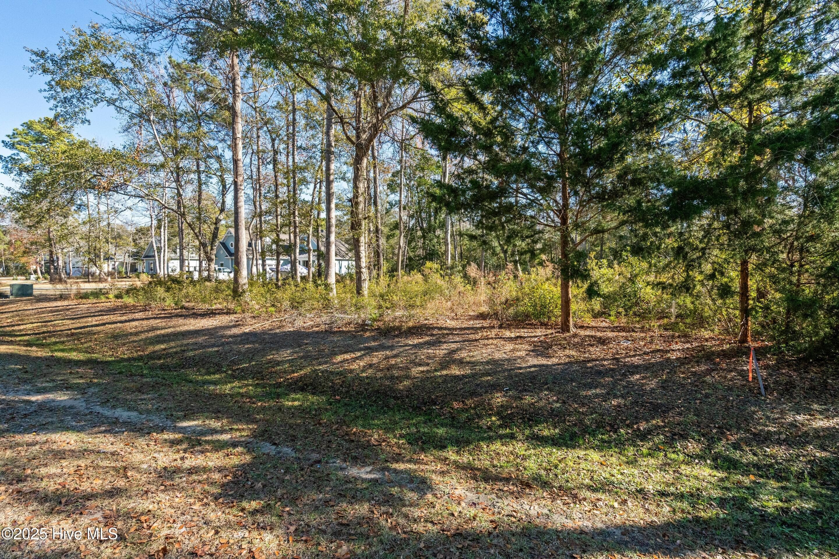Residential Lot at 1872 185 Healing Water Lane SW, Supply, NC 28462, photo 9 of 29