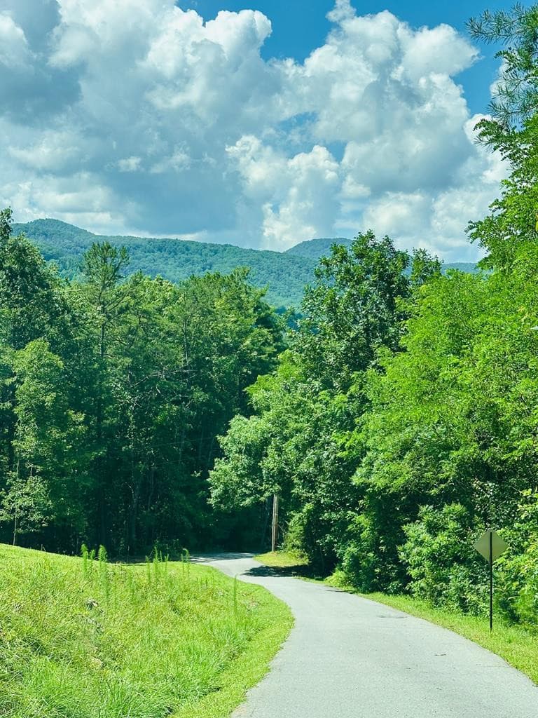 Residential Lot at Lot 14 14 View Ridge Trail, Murphy, NC 28906, photo 9 of 9