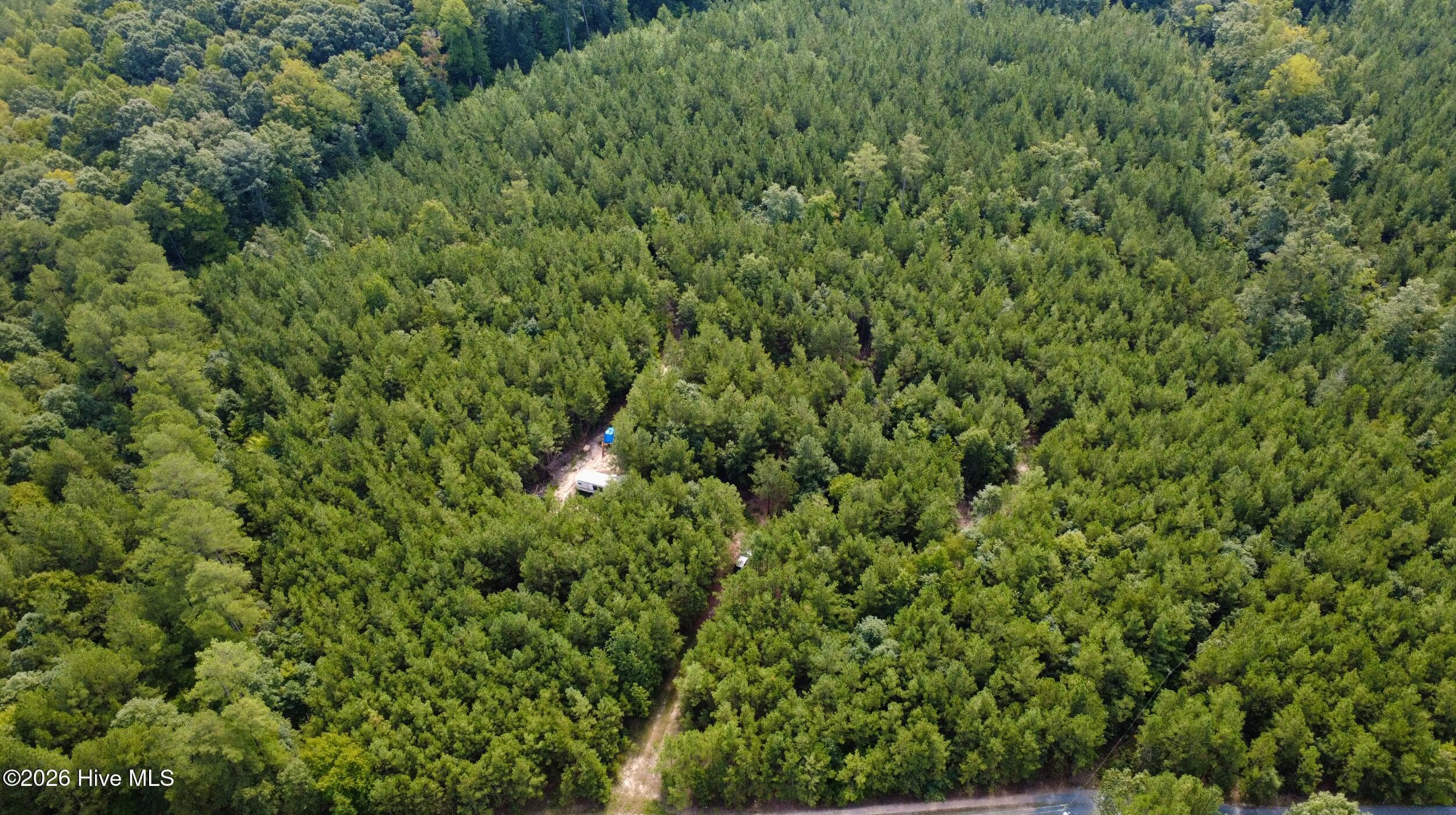 Undeveloped at 239 16 Lick Creek Road, Carthage, NC 28327, photo 10 of 12