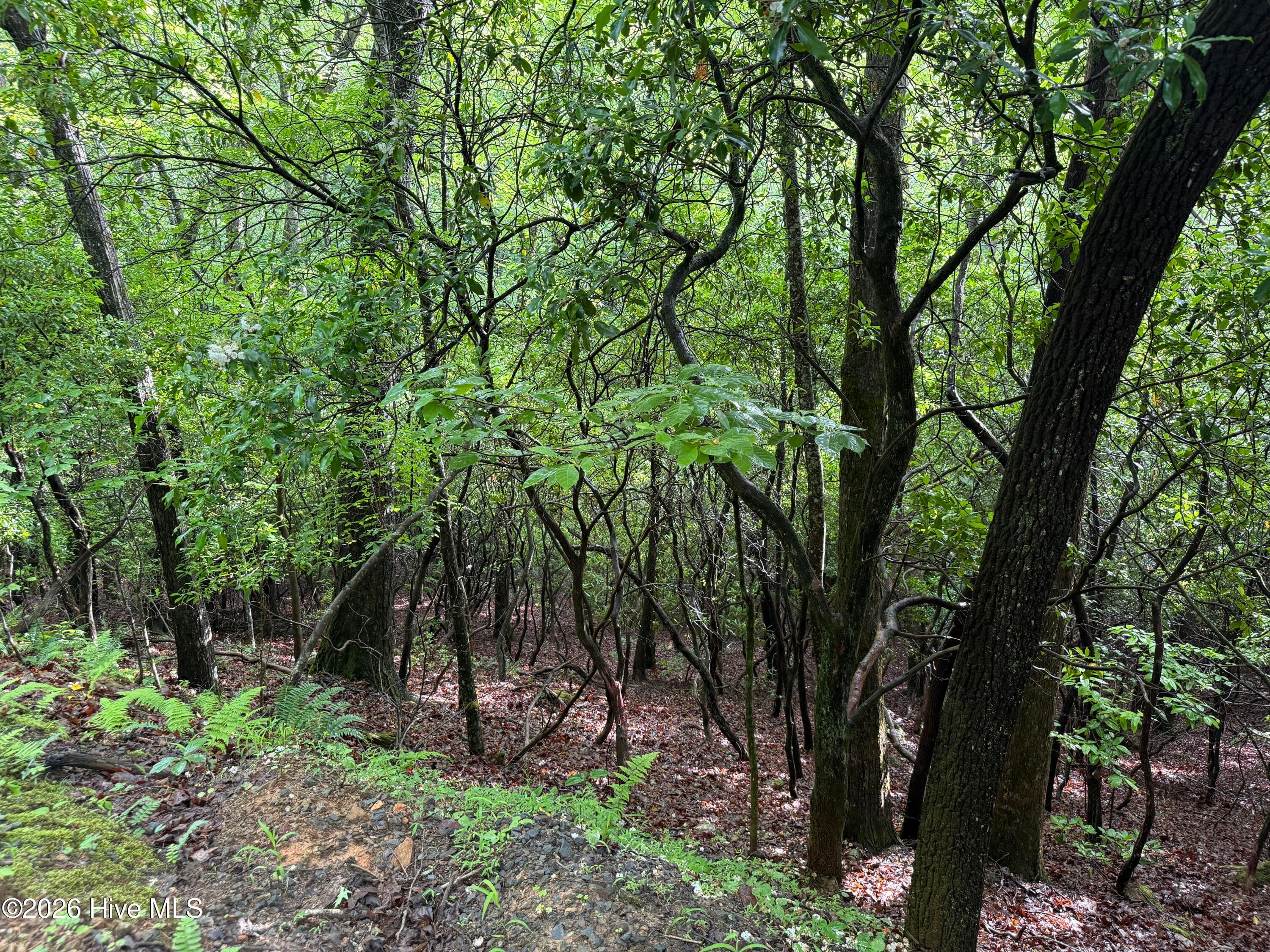 Residential Lot at Lot 28 Atoah Loop, Murphy, NC 28906, photo 5 of 15