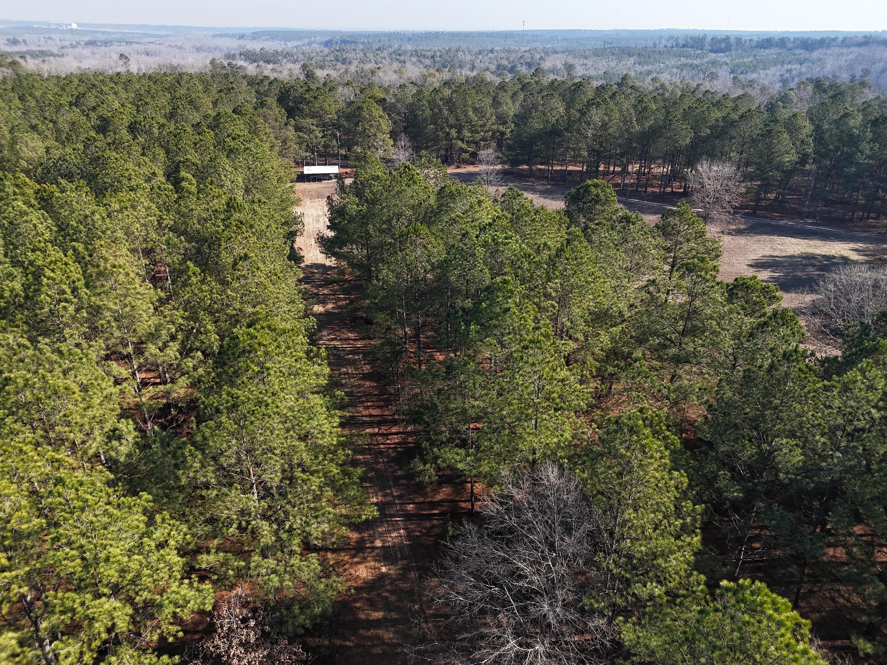 Undeveloped at 0 Ponderosa Road, Waynesboro, GA 30830, photo 16 of 45