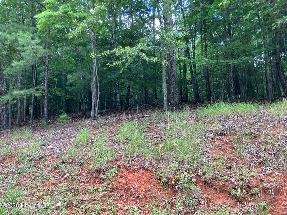 Undeveloped at 11 11 Green Cove Circle, Murphy, NC 28906, photo 7 of 8