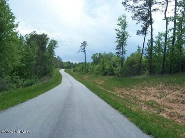 Undeveloped at 124 Sunset Ridge, Rockingham, NC 28379, photo 3 of 3