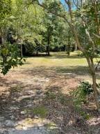 Residential Lot at Lot A Old Whiskey Road, New Ellenton, SC 29809, photo 2 of 3