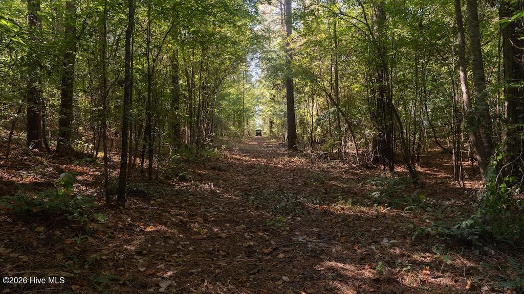 Mixed Use at 0 Spring Hill Road, Scotland Neck, NC 27874, photo 4 of 93