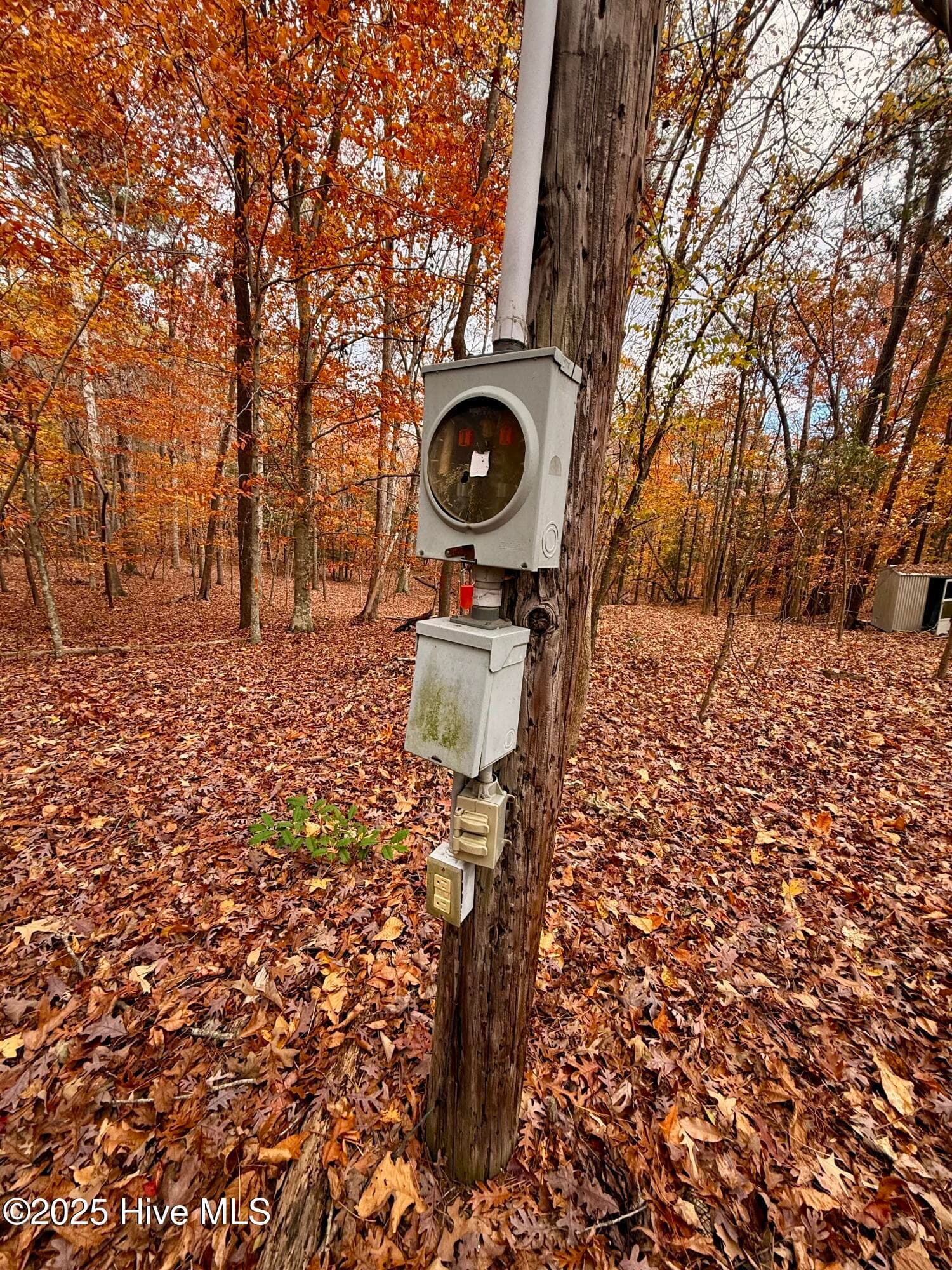 Wooded at 0 Williams Road, Williamston, NC 27892, photo 15 of 16