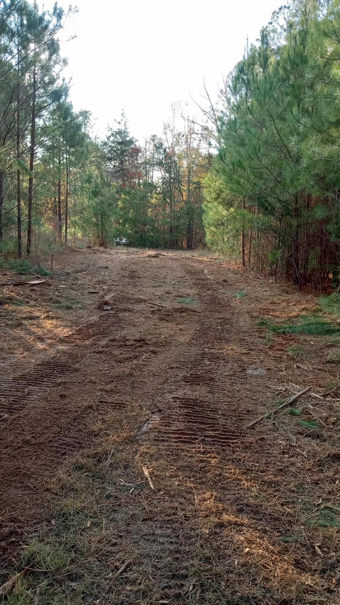 Nice home site - 2722 Sc-23, Modoc, SC 29838