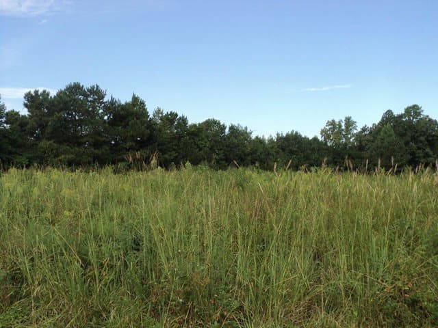Commercial Sale at 0 Flanders Filters Road, Washington, NC 27889, photo 2 of 3