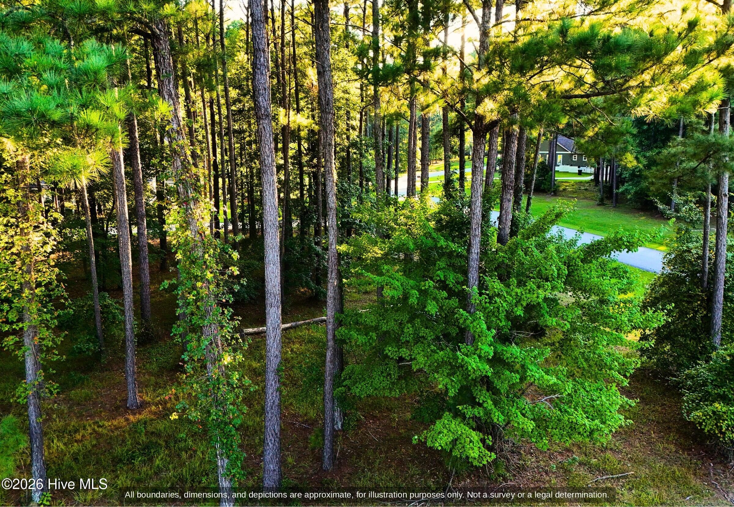 Inside the wooded 0.39 acre lot in Arlington Place, a gated community near Oriental NC - 0000-0000 LOT 83 Mill Creek Drive, Minnesott Beach, NC 28510