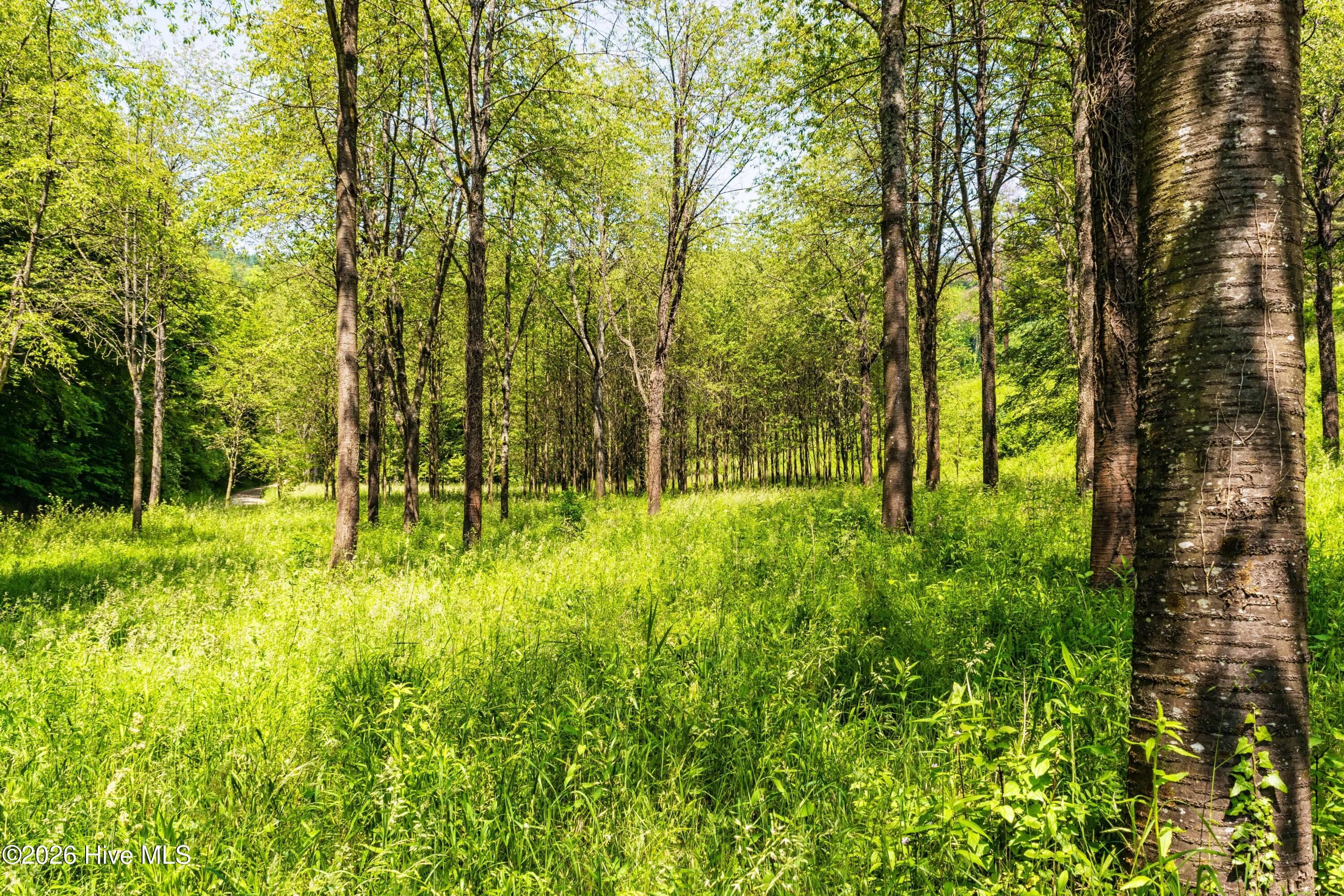 4197 Adams Chapel Road, Dearing, GA 30808
