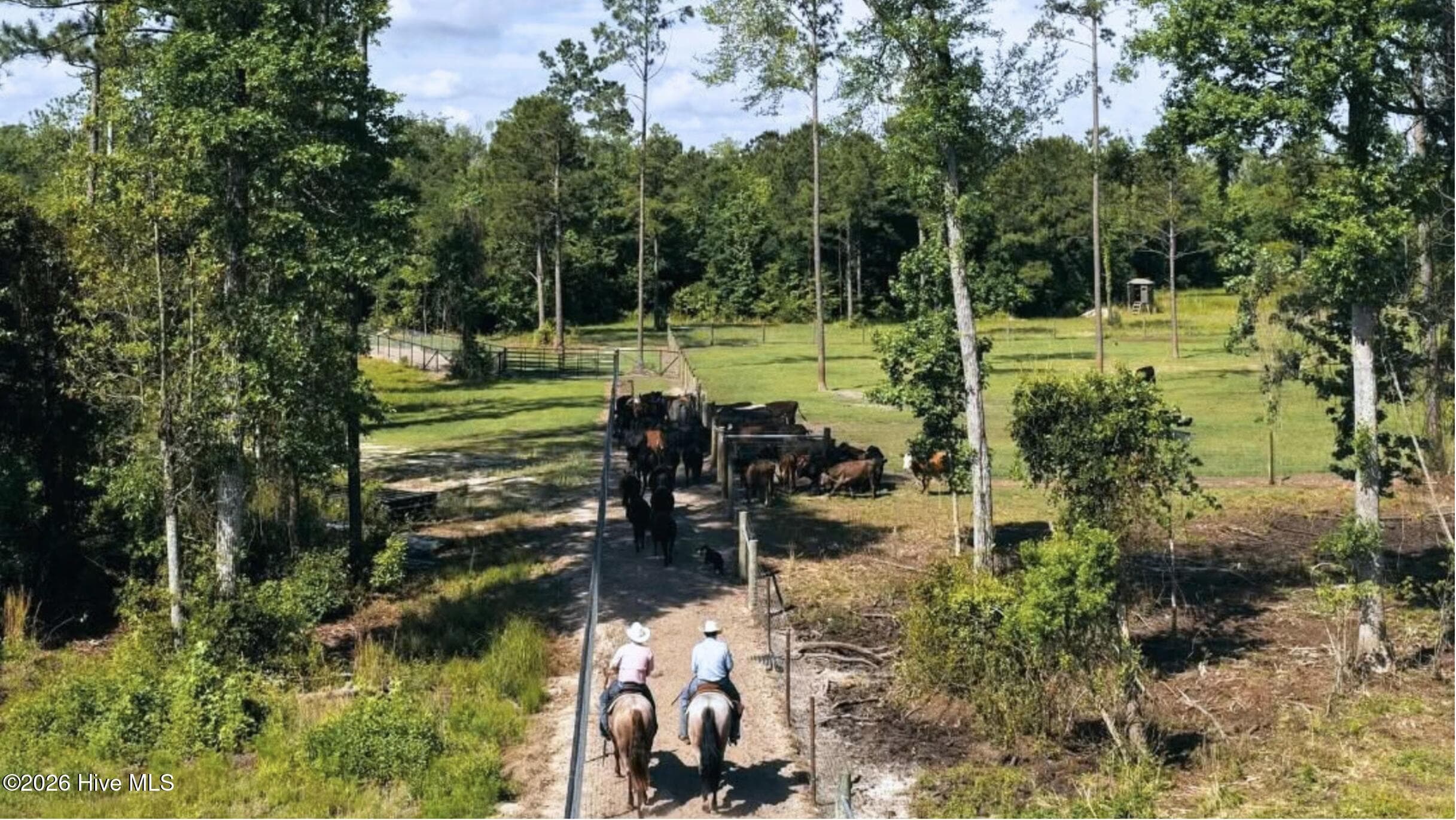 Single Family Residence at 4a Cattle Drive, Rocky Point, NC 28457, photo 6 of 7