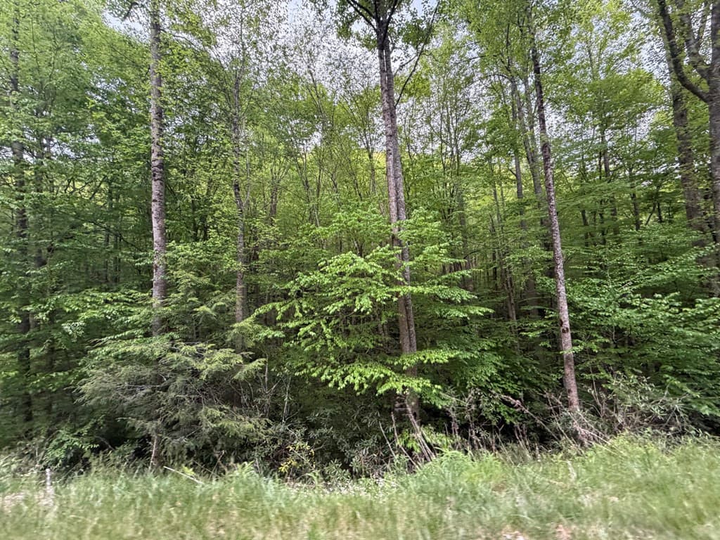 Residential Lot at Lot 11& 15 11&15 Warrior Way Road, Andrews, NC 28781, photo 2 of 2