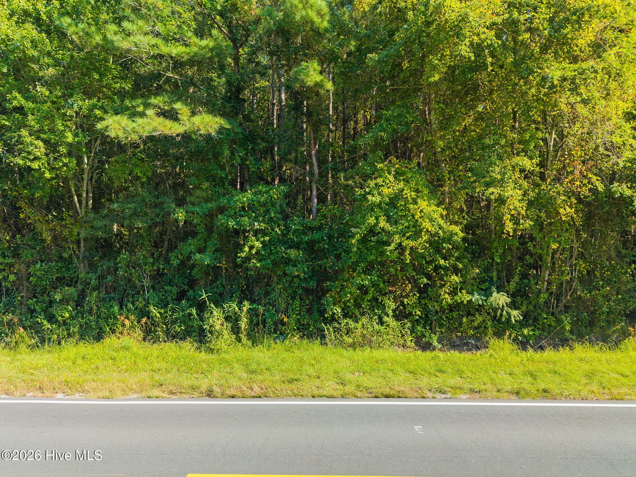 Agriculture at 2473 Peacock Road, Whiteville, NC 28472, photo 3 of 8