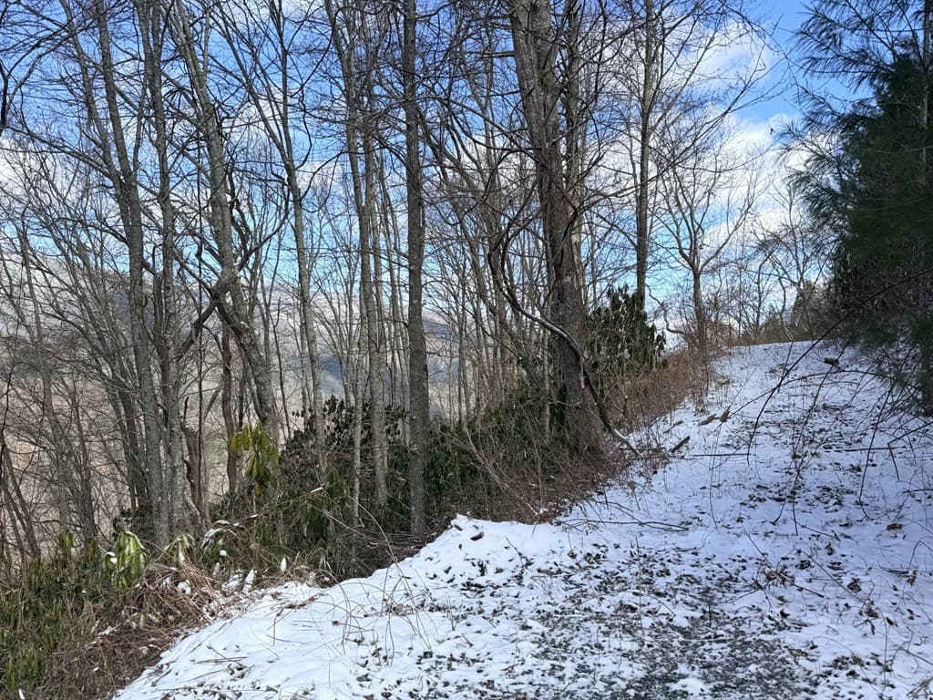Residential Lot at Lot# 13 13 Noon Day Sun Road, Topton, NC 28781, photo 2 of 7