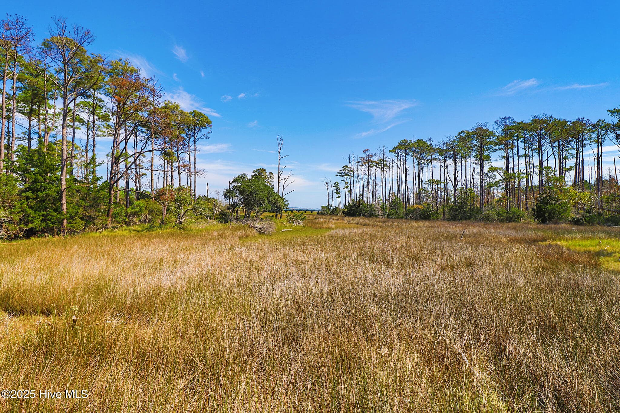 Residential Lot at 530 Freedom Park Road, Beaufort, NC 28516, photo 6 of 23