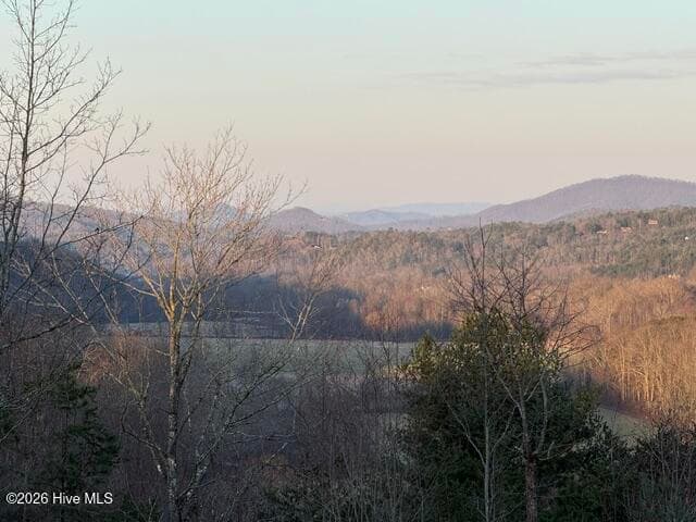 8,9 8,9 Downings Creek Road, Hayesville, NC 28904